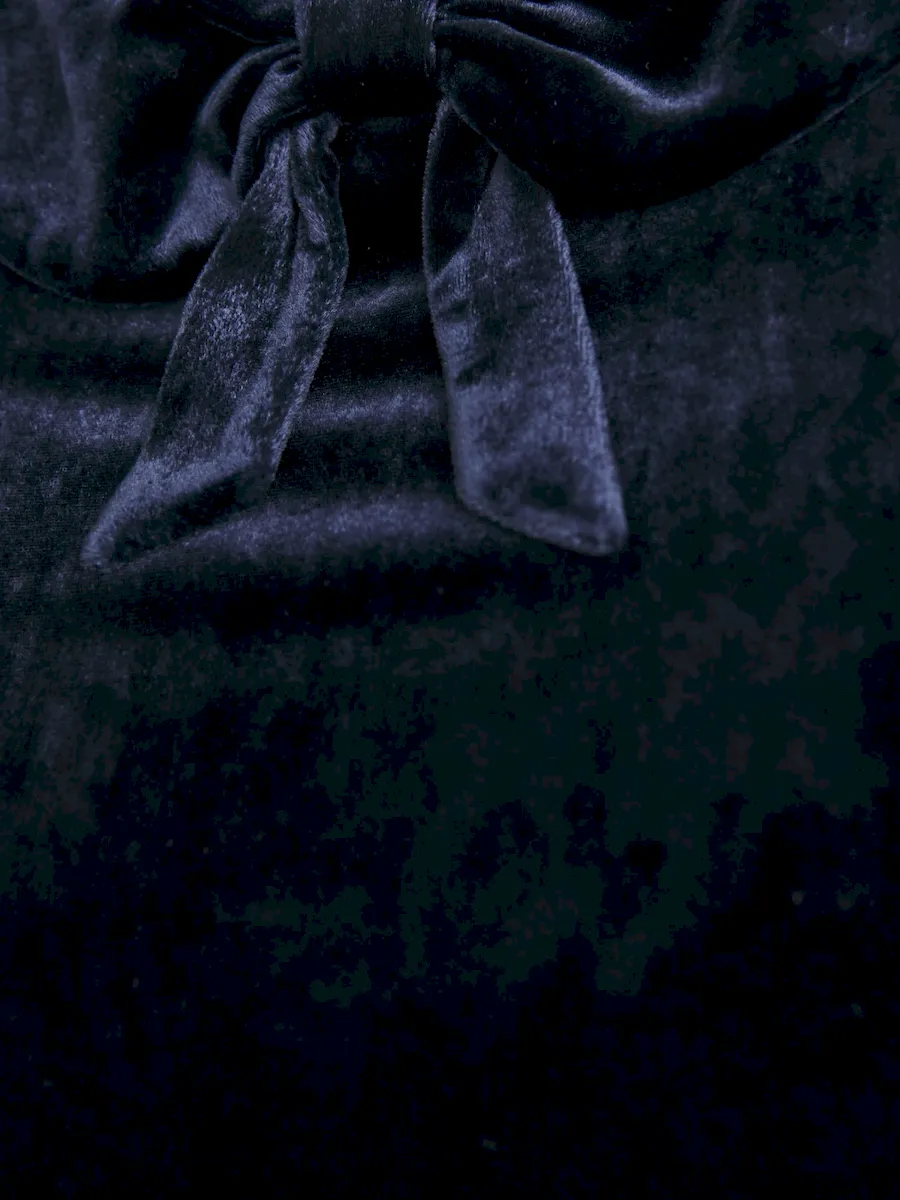 Lynette Velvet Dress - Image 6