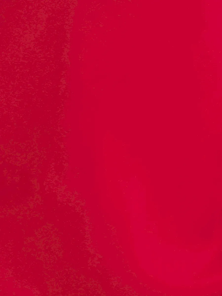 Reishi Dress - Image 6